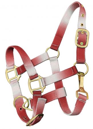 Showman Premium nylon Pony sized ombre halter with nickel plated hardware #3